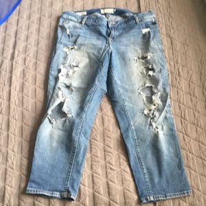 Torrid distressed ex-boyfriend jeans